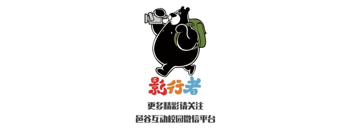 ysz